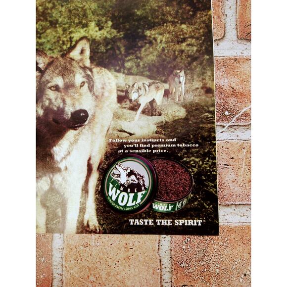 2002 Wolf Chewing Tobacco Print Ad Pack of Wolves Forest Taste the Spirit Quote - Picture 9 of 9